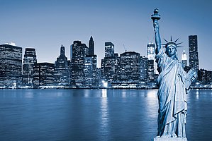 Manhattan Skyline and The Statue of Liberty at Night, New York City